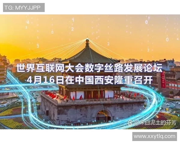 深度探讨张军在CSGO世界中的成长与挑战之路实时数据